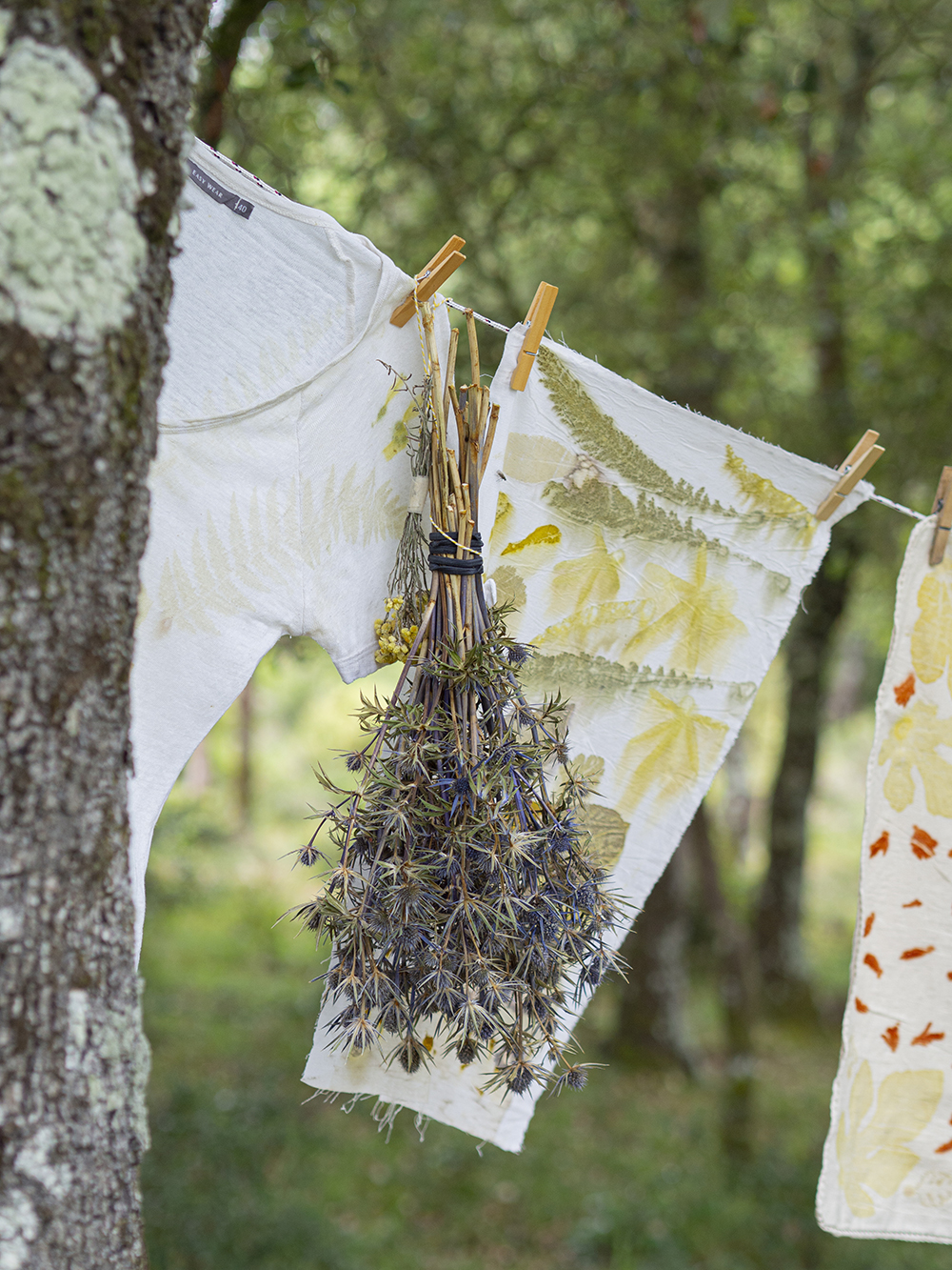 DIY Estampación botánica en tela26